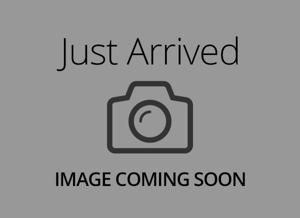 DOBERMAN PINSCHER-Male-RED & WHITE-14614-Frontier Pets