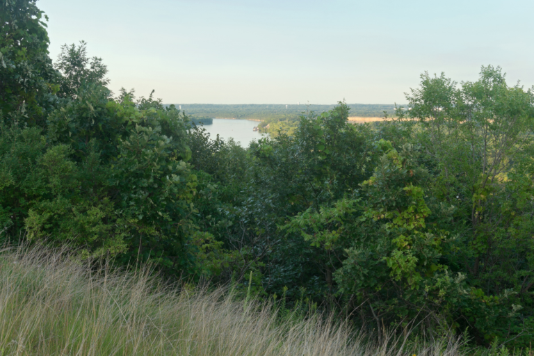 Pine Bluffs