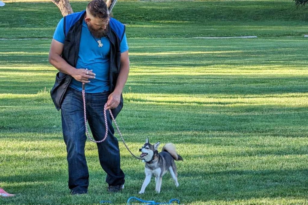 How to Train a Puppy: A Complete Guide for First-Time Owners